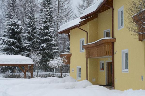 זיפלד אין טירול Haus Elisengrund Am Geigenbuehel - Chalet Prive מראה חיצוני תמונה