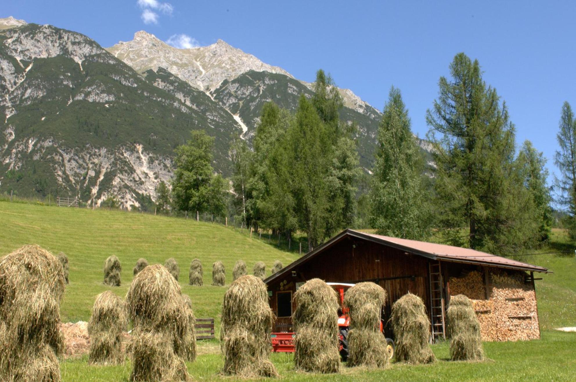 זיפלד אין טירול Haus Elisengrund Am Geigenbuehel - Chalet Prive מראה חיצוני תמונה