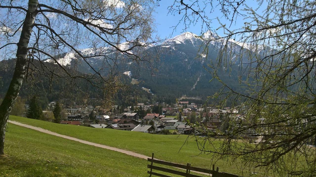 זיפלד אין טירול Haus Elisengrund Am Geigenbuehel - Chalet Prive מראה חיצוני תמונה